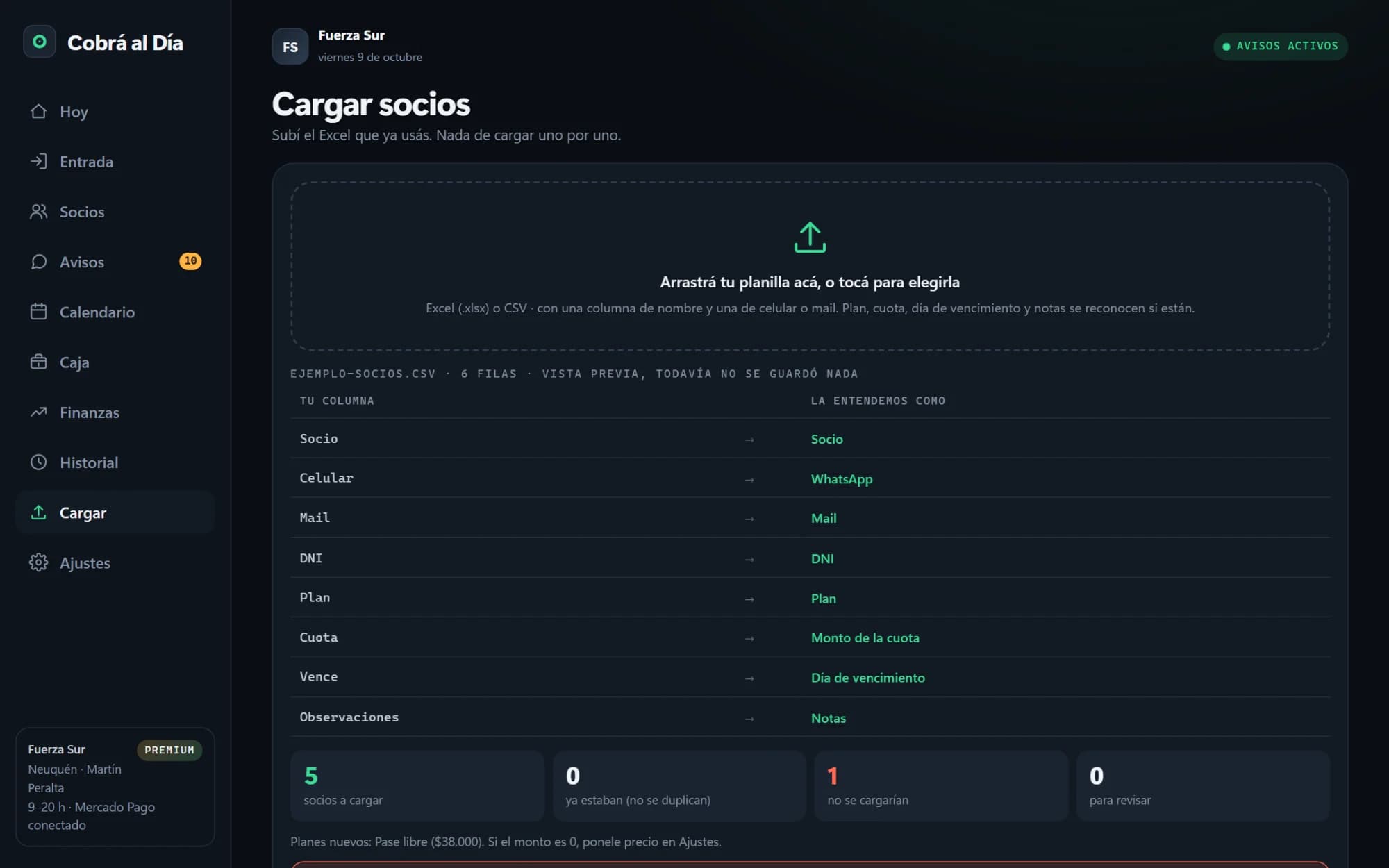 Importación de una planilla: cada columna del archivo con lo que el sistema entendió, y el resumen de lo que se cargaría